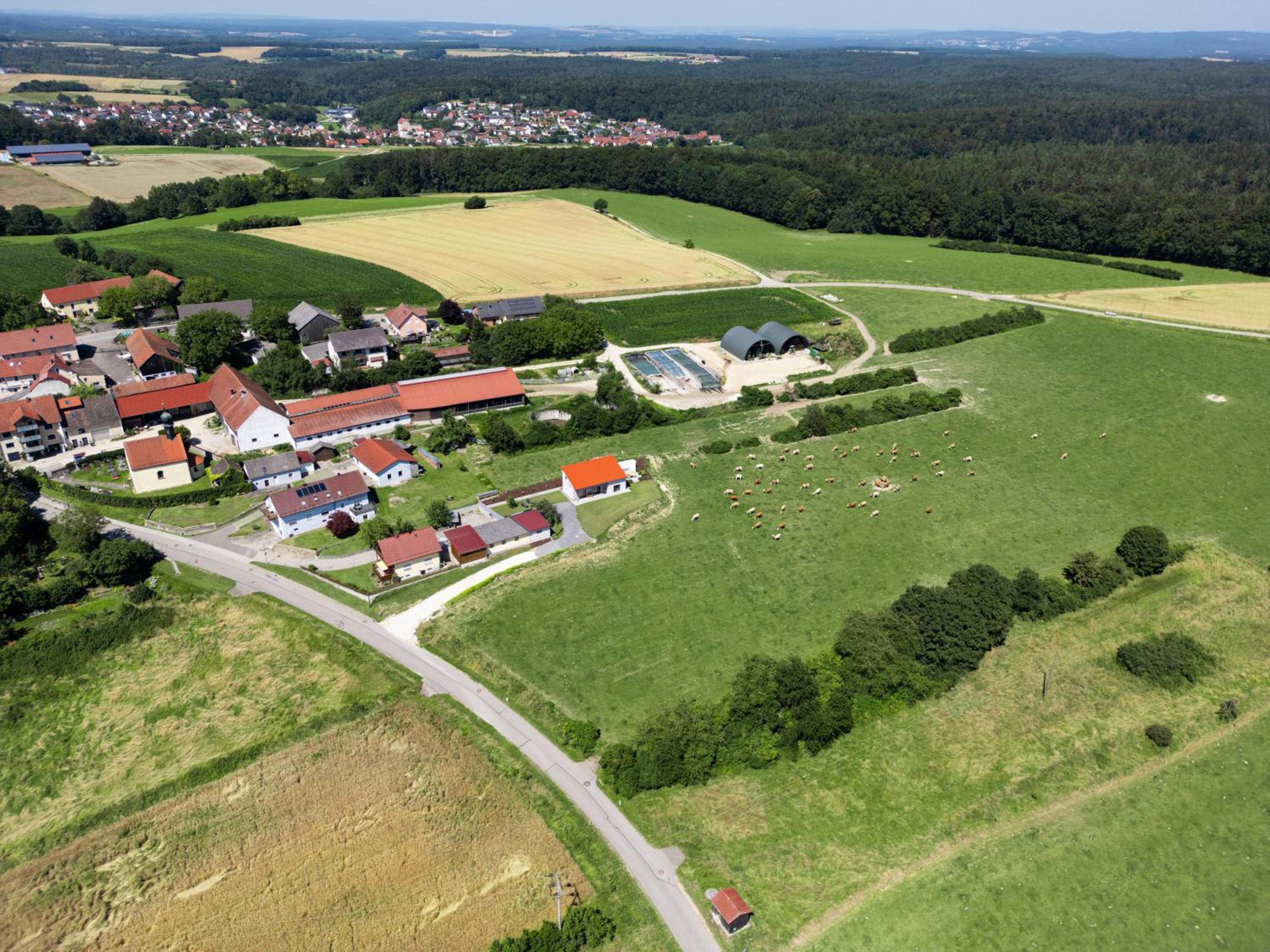 Wo sich Kuh, Fuchs und Hase gute Nacht sagen view 2