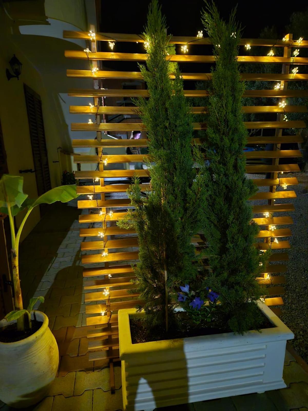 La Bouganvillea