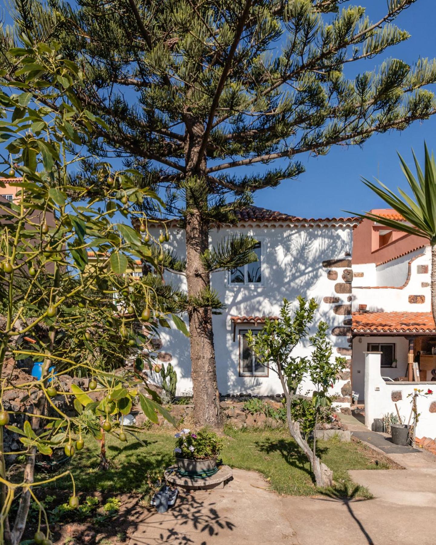 Casa Lupe