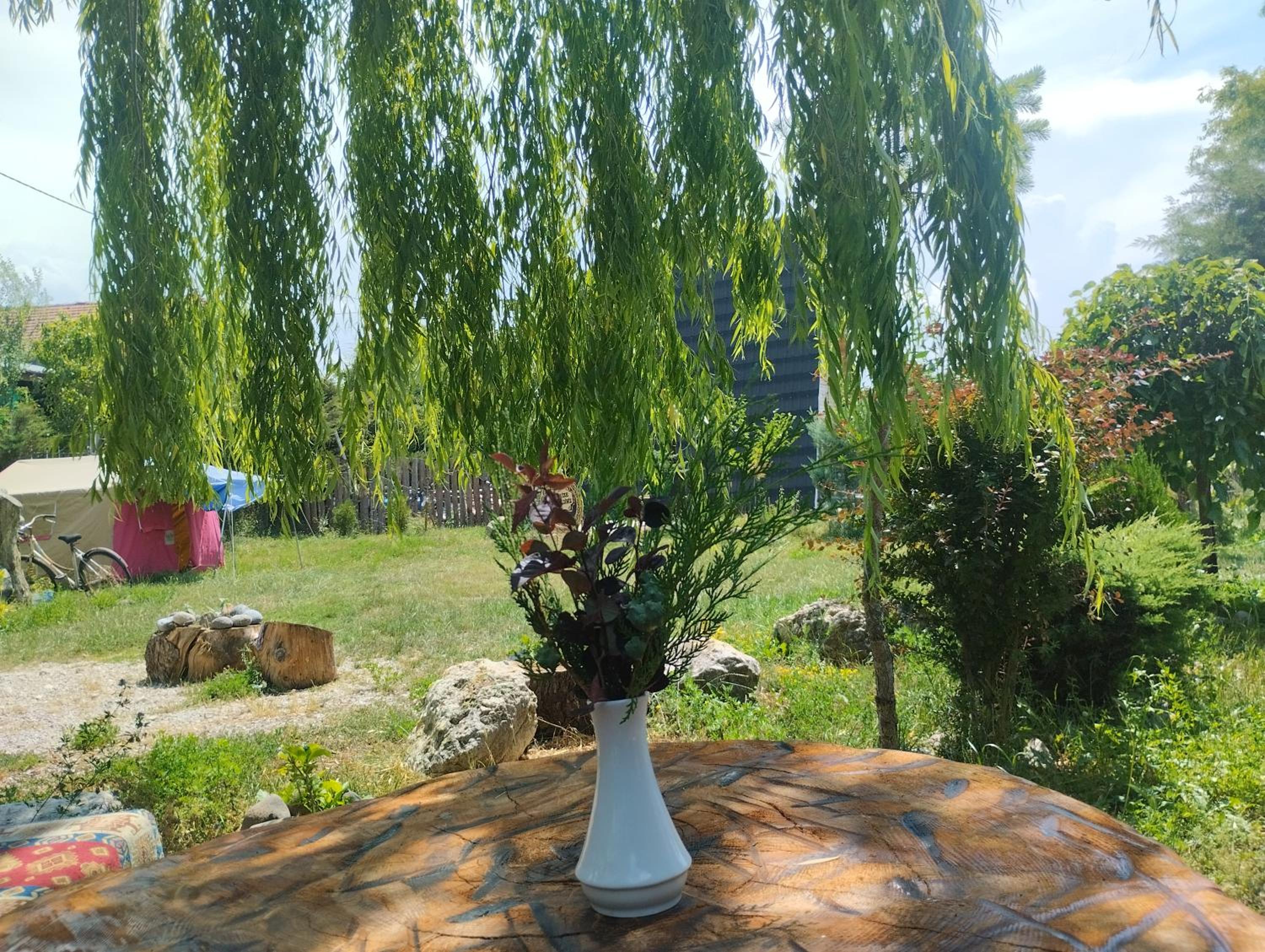 Photo 13