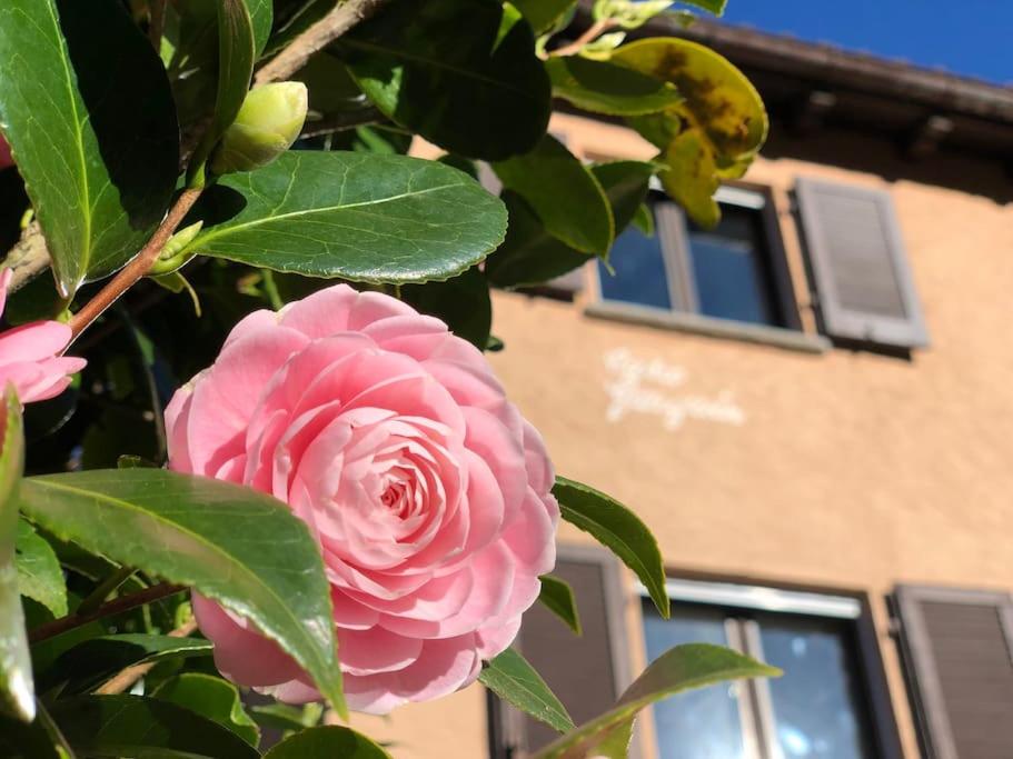 Appartamento a Casa Gauguin
