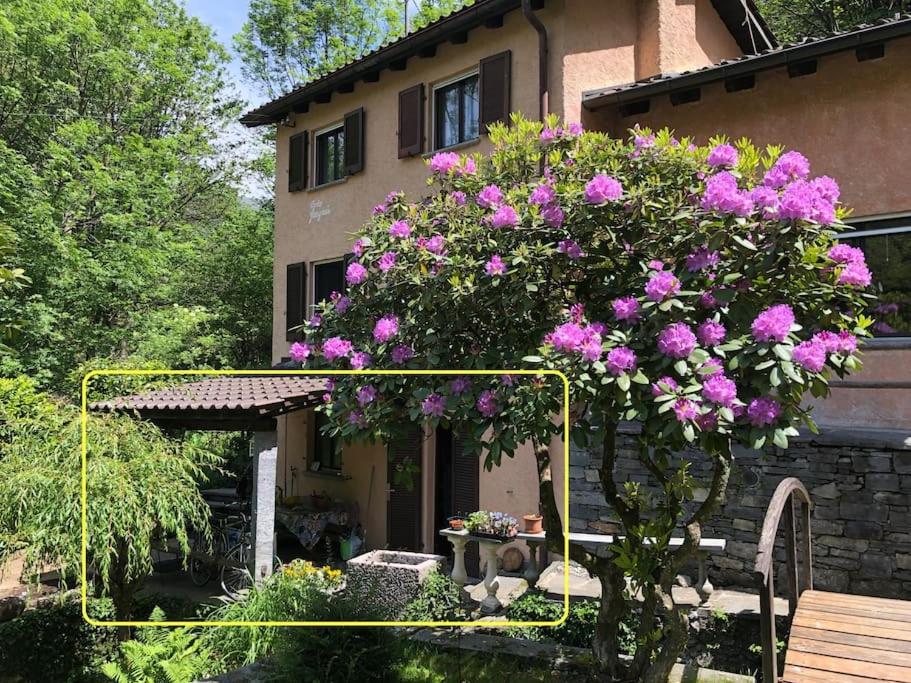 Appartamento a Casa Gauguin