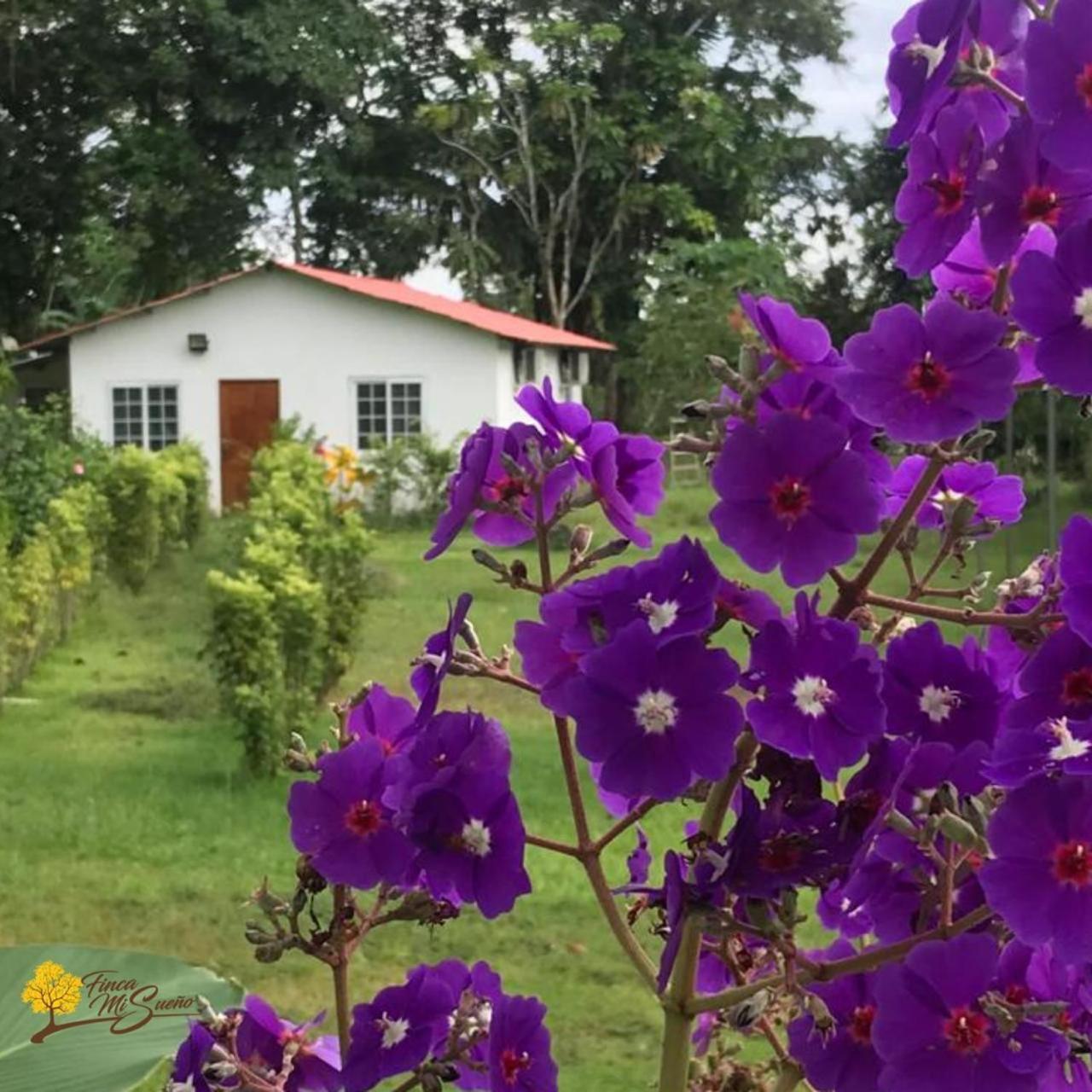 Cabañas Finca Campestre view 3