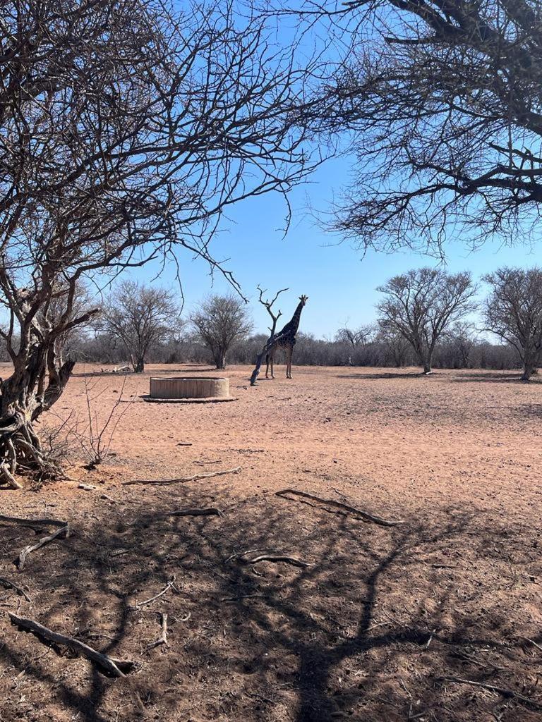 Camel Creek Safari Lodge view 5