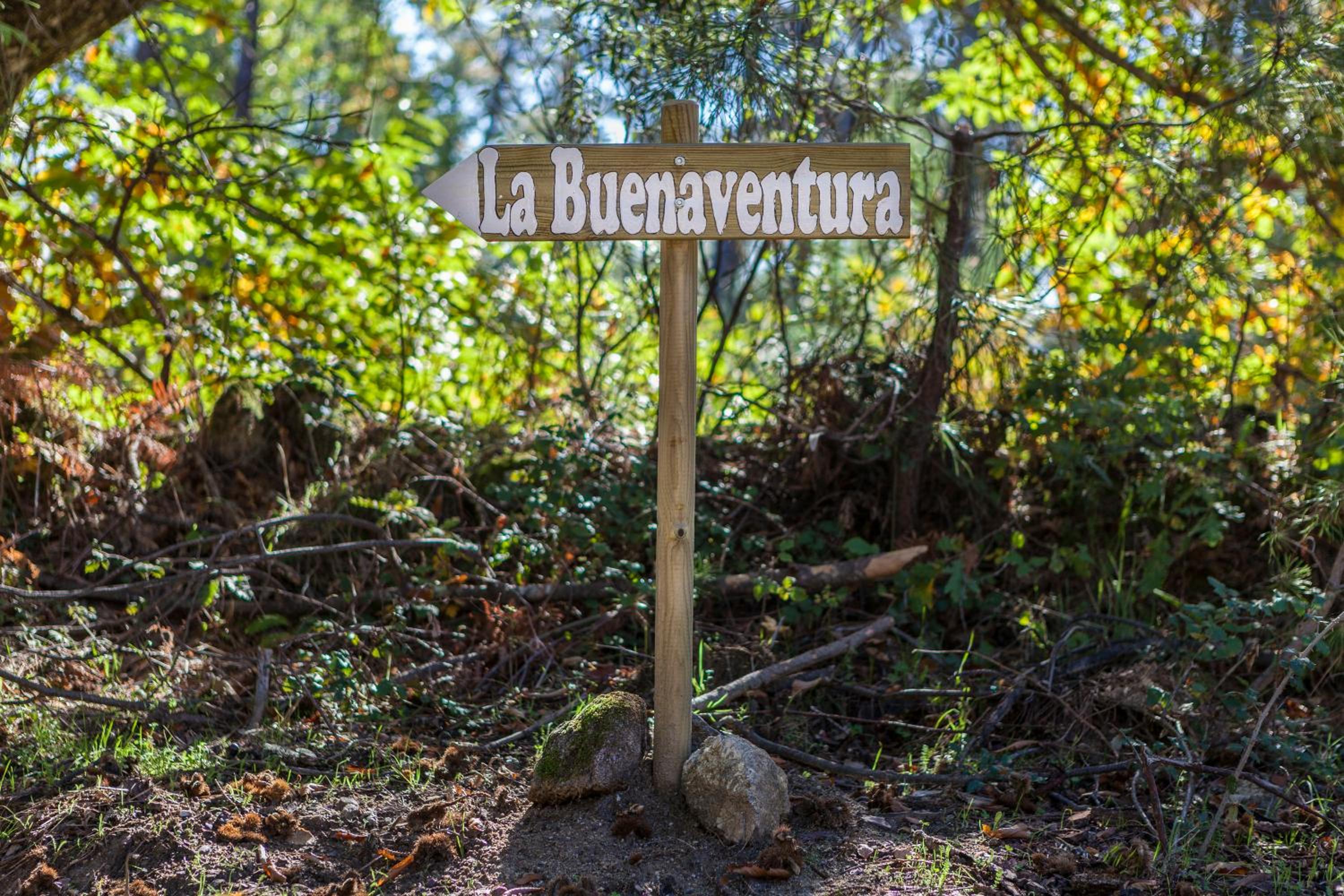 La Buenaventura del Tiétar view 3