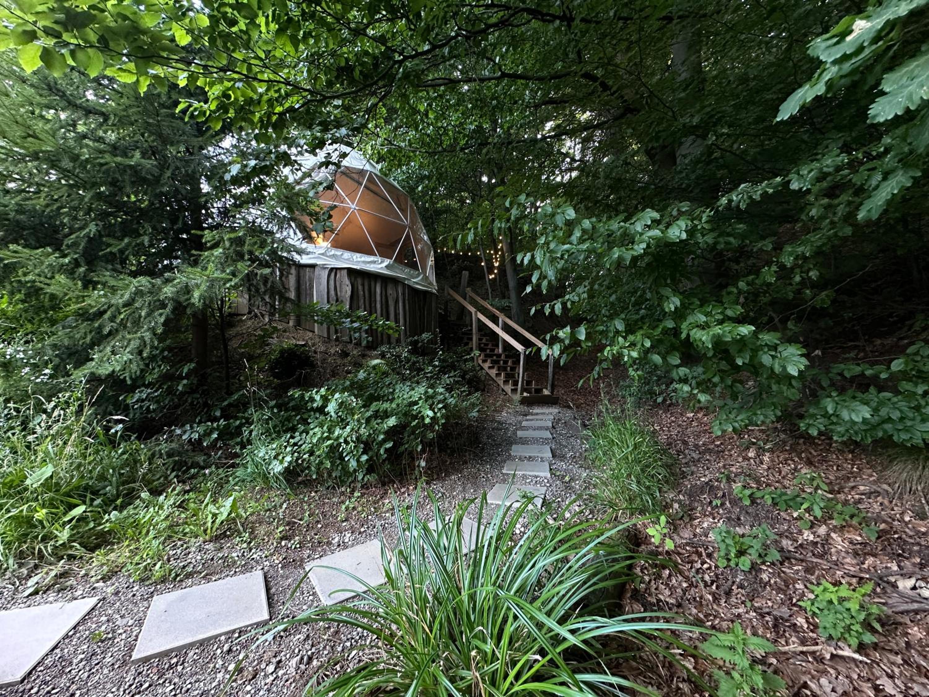 Hotel Forest Dome Pohorje - Image 1