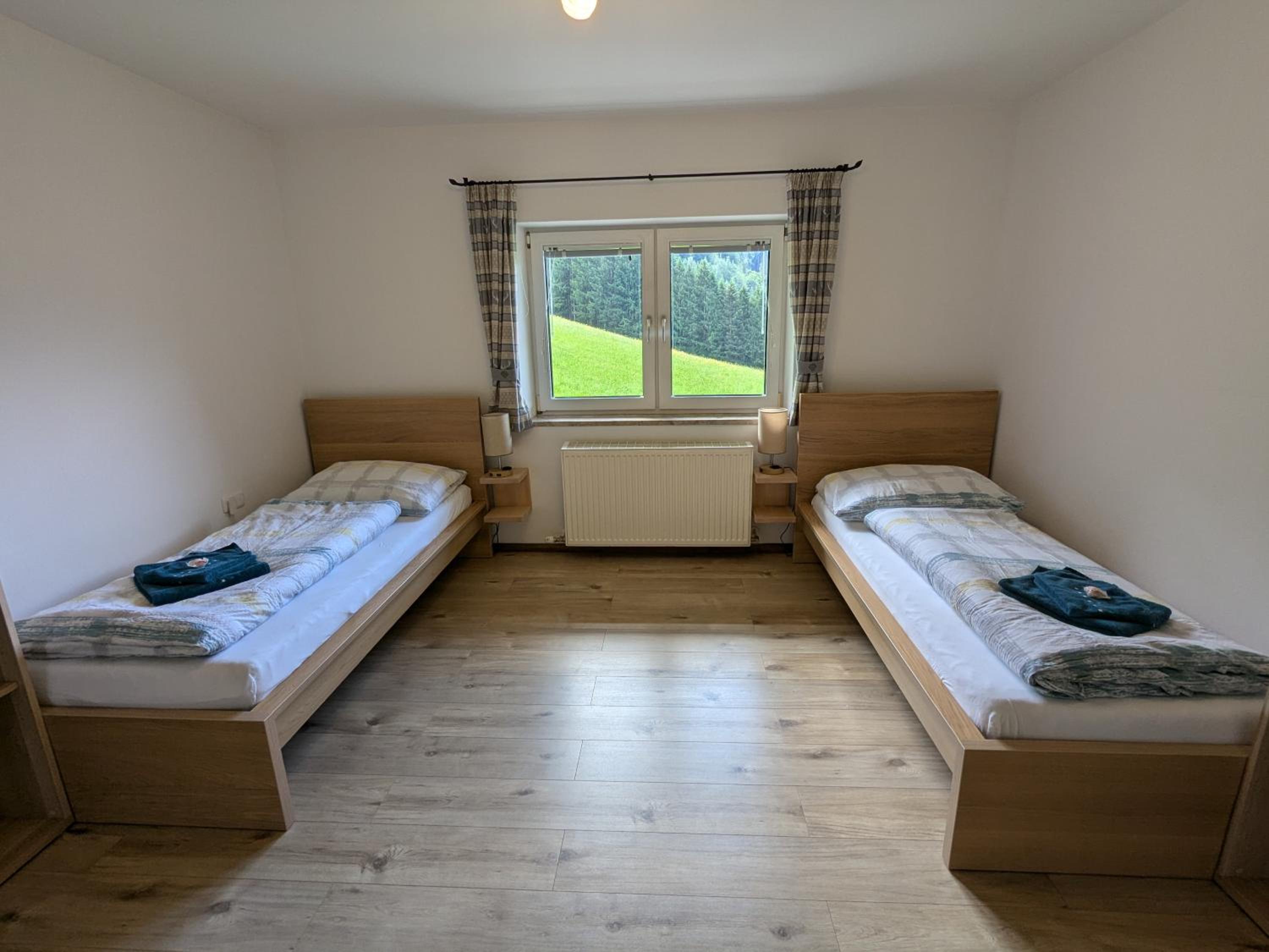 Haus Biechl mit Blick auf die Burg Hohenwerfen view 5