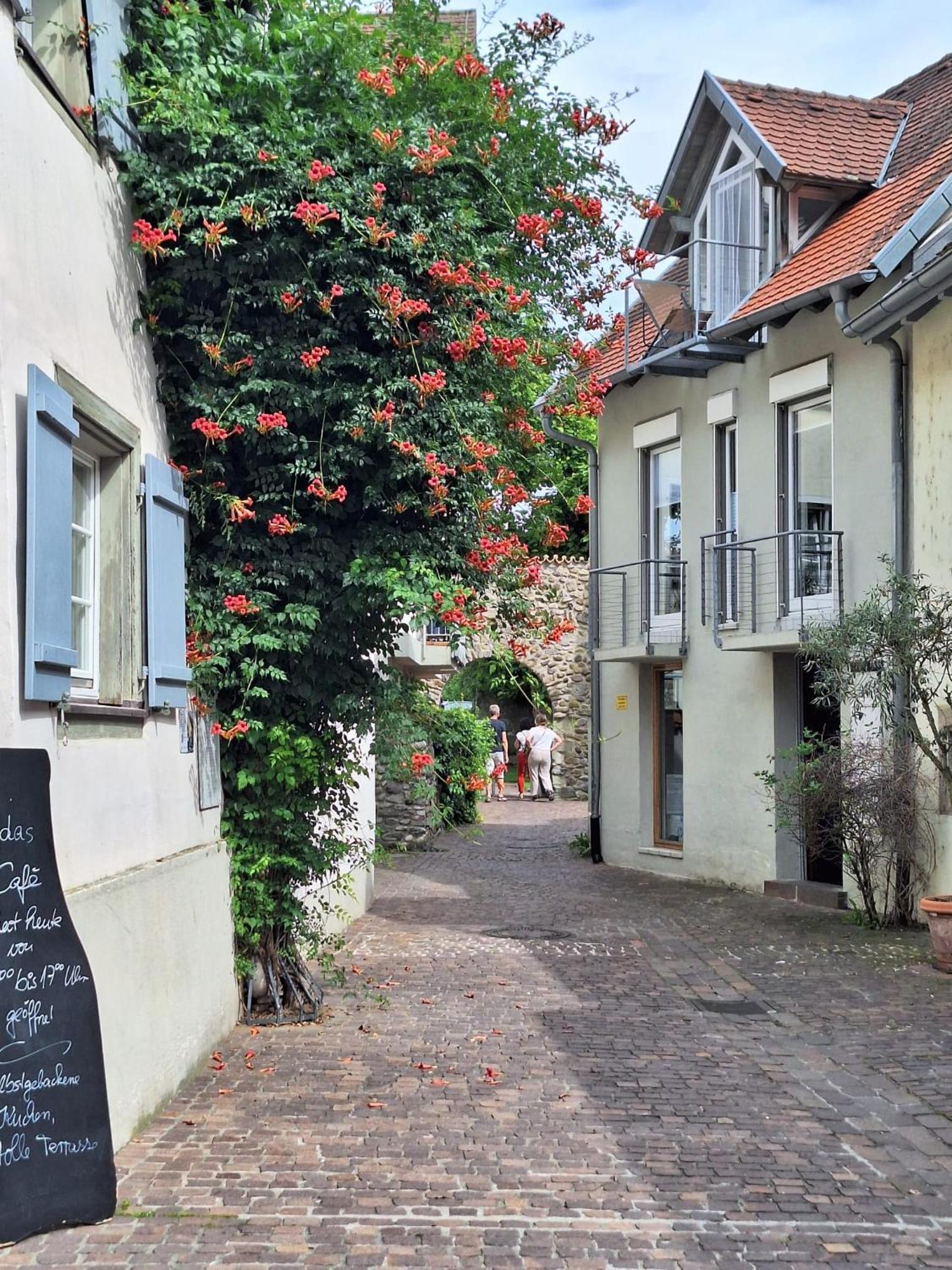 Ferienwohnung Überblick