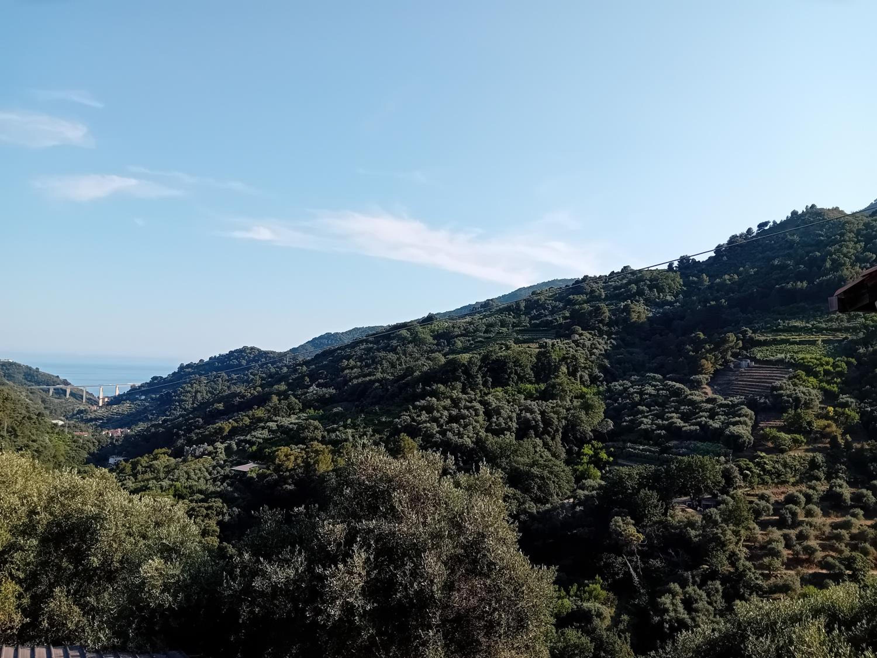 La casetta dei 4 gatti view 4