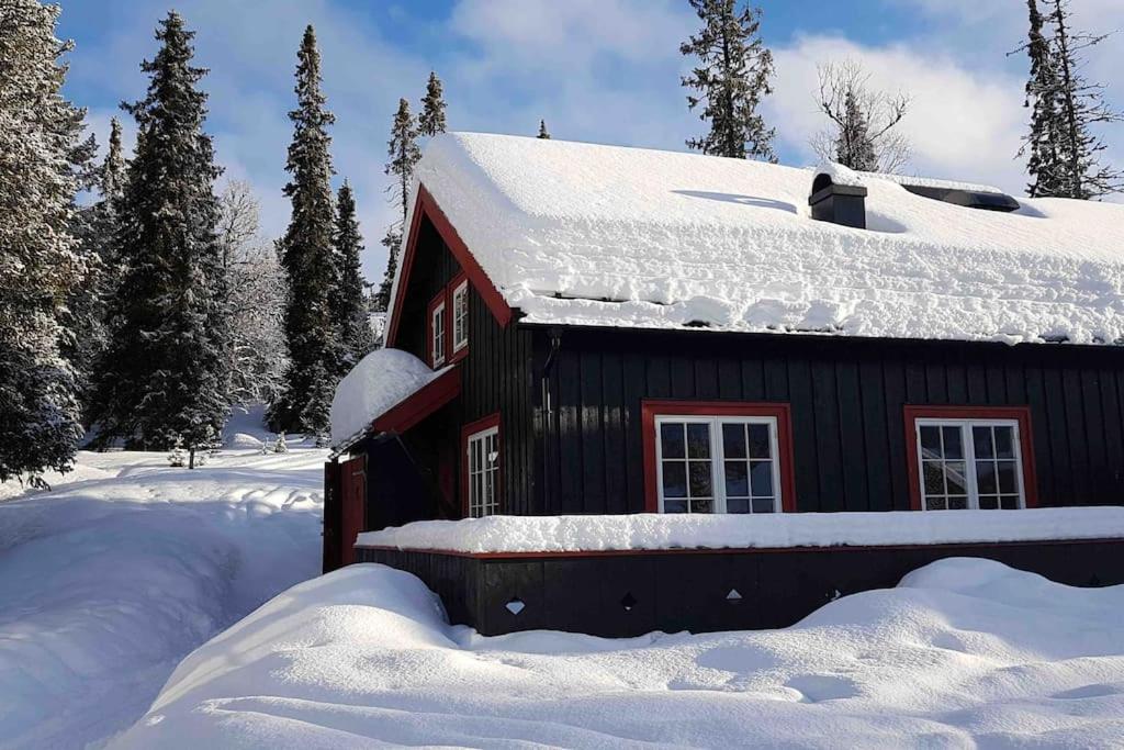Experience Your Dream Vacation at Gålå