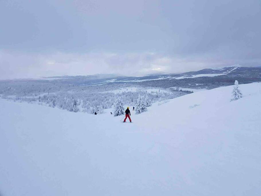 Experience Your Dream Vacation at Gålå