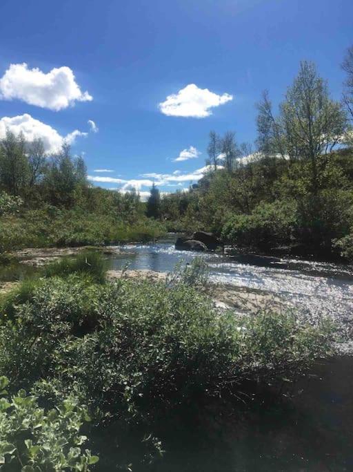 Experience Your Dream Vacation at Gålå