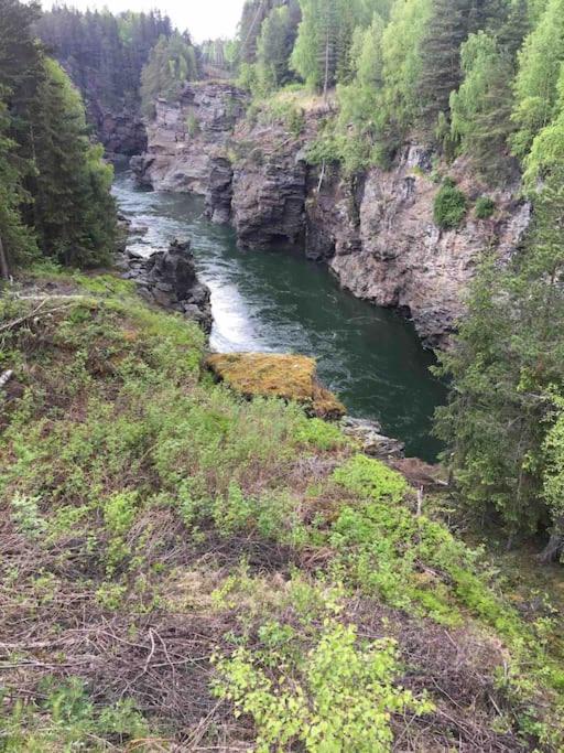 Experience Your Dream Vacation at Gålå