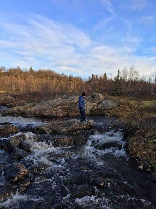 Experience Your Dream Vacation at Gålå
