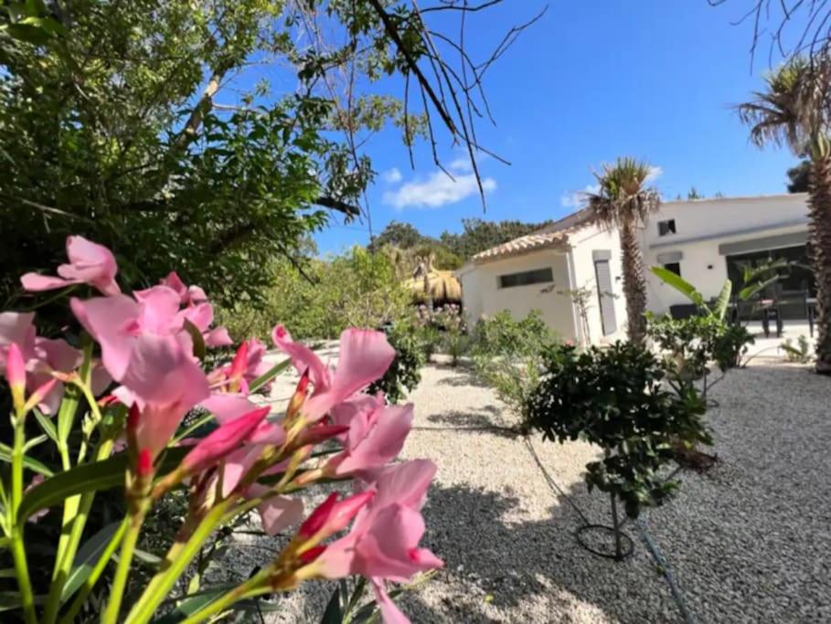 Exklusive moderne Finca mit Pool