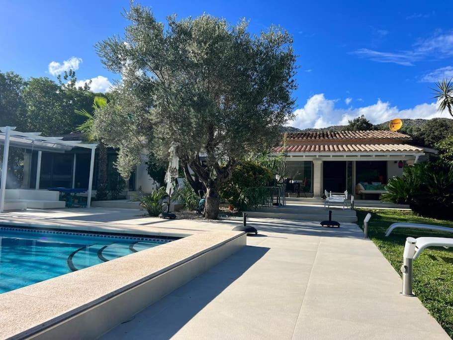 Exklusive moderne Finca mit Pool