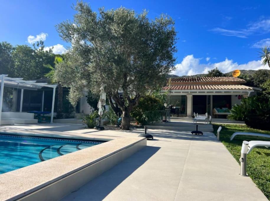 Exklusive moderne Finca mit Pool