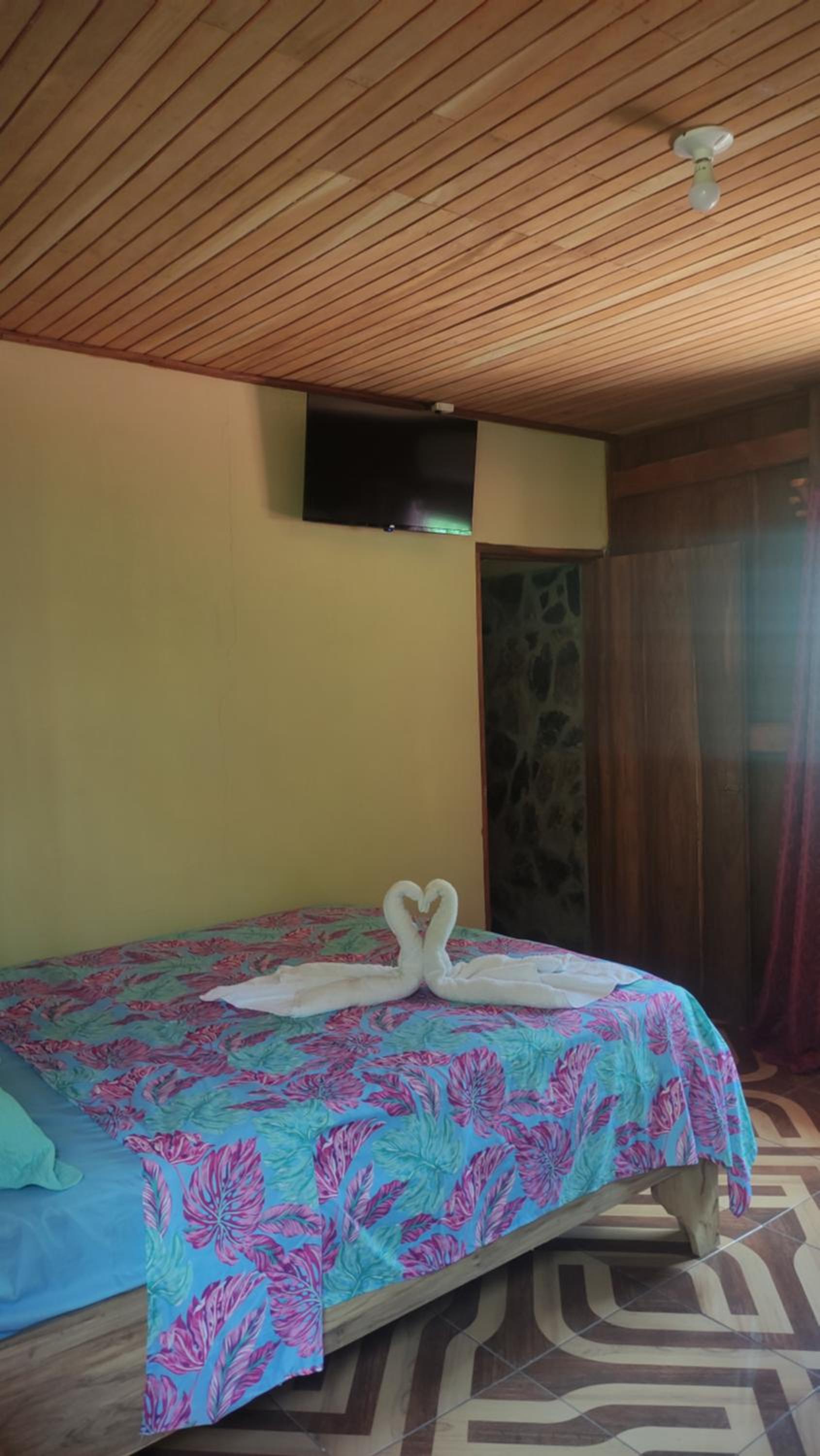 Photo 11