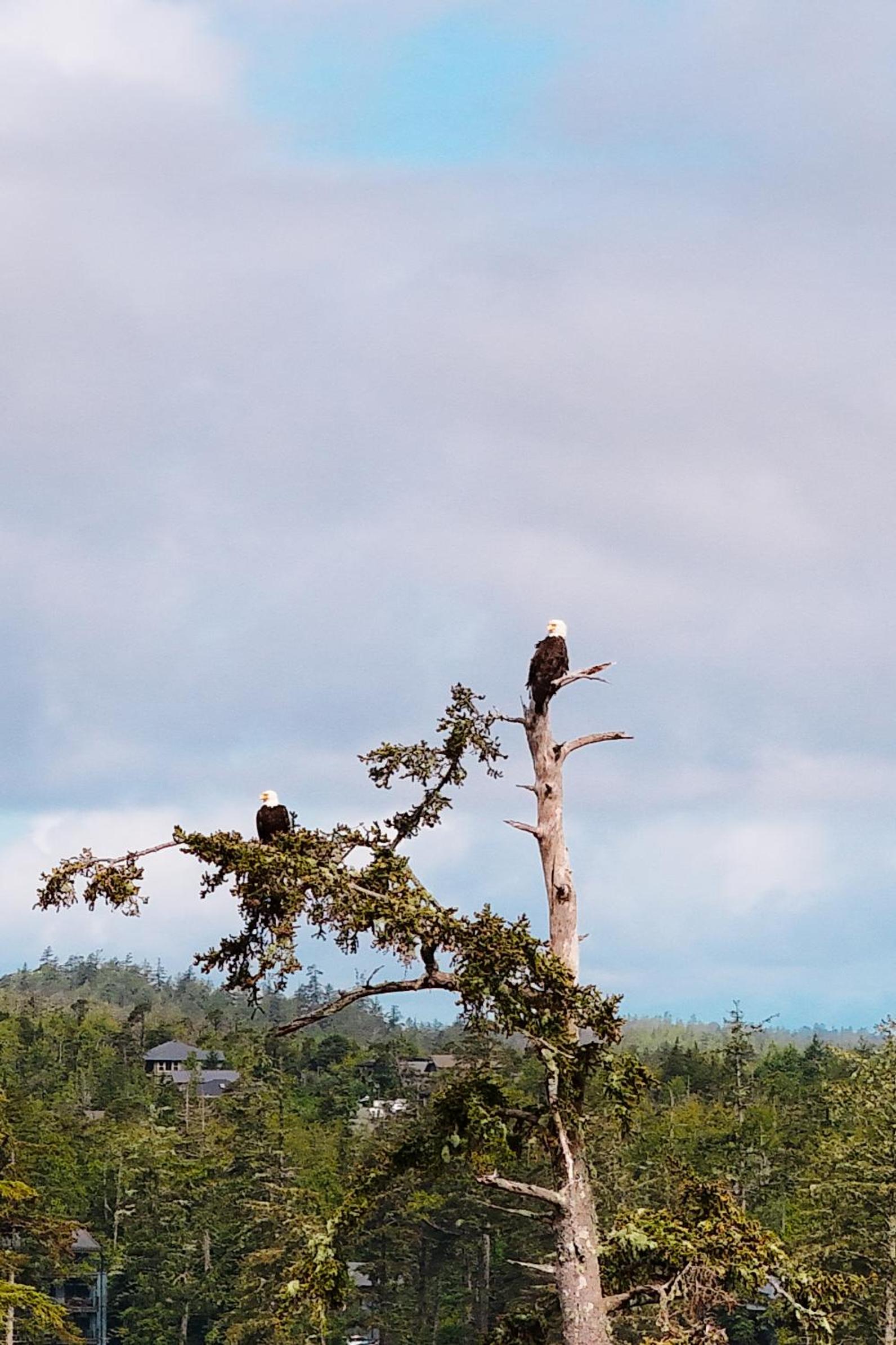Snug Harbour Inn