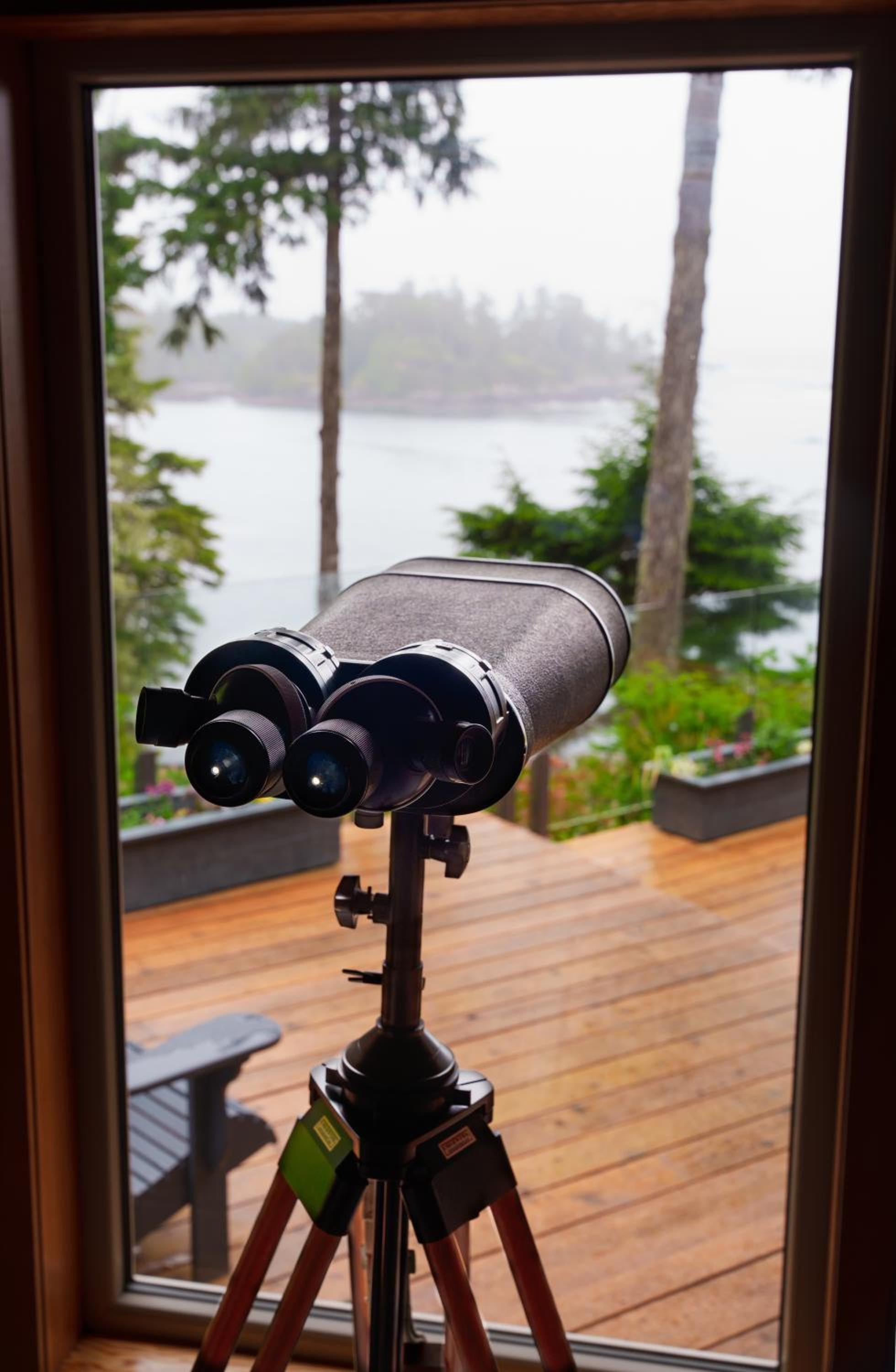 Snug Harbour Inn