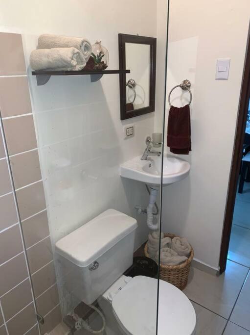 Apartamento VillaRegis 1 Zapote, San José
