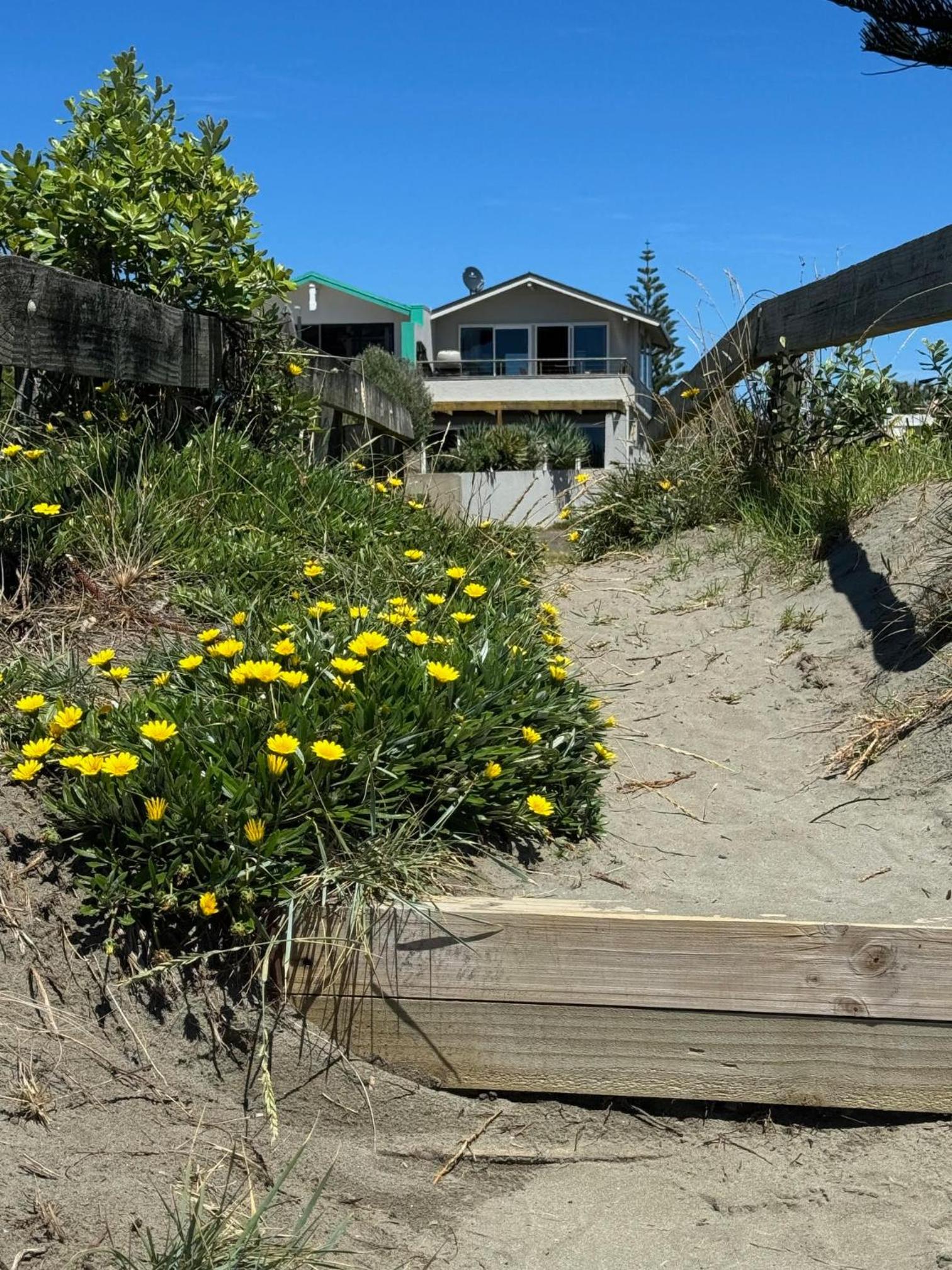 Beach Front Apartment
