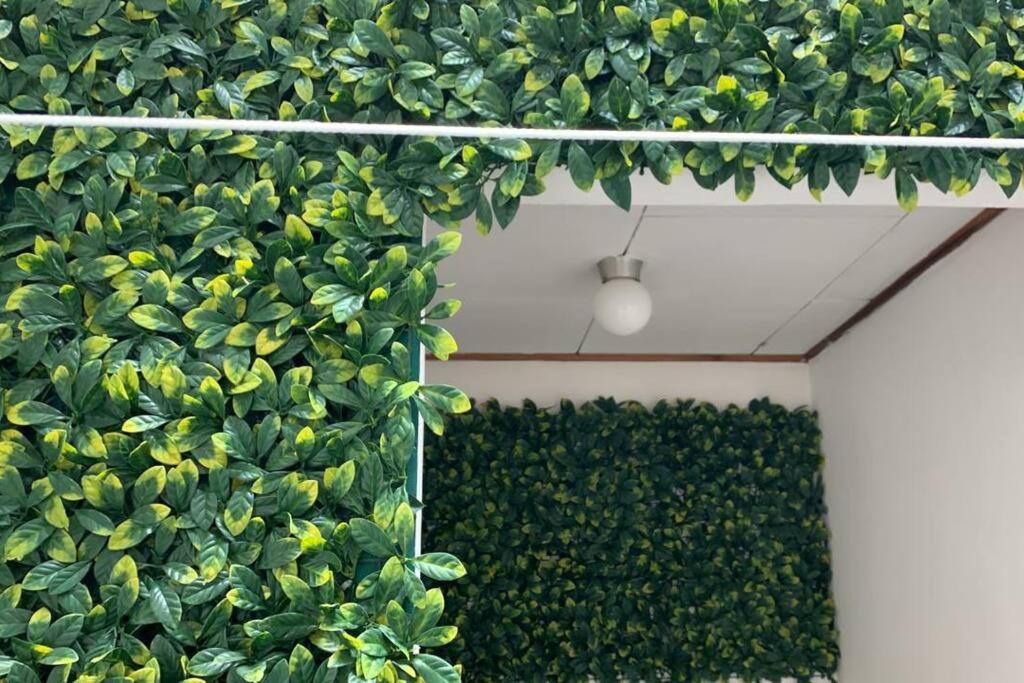 Apartamento VillaRegis 2, Zapote, San Jose