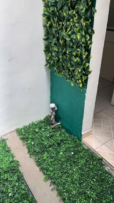 Apartamento VillaRegis 2, Zapote, San Jose