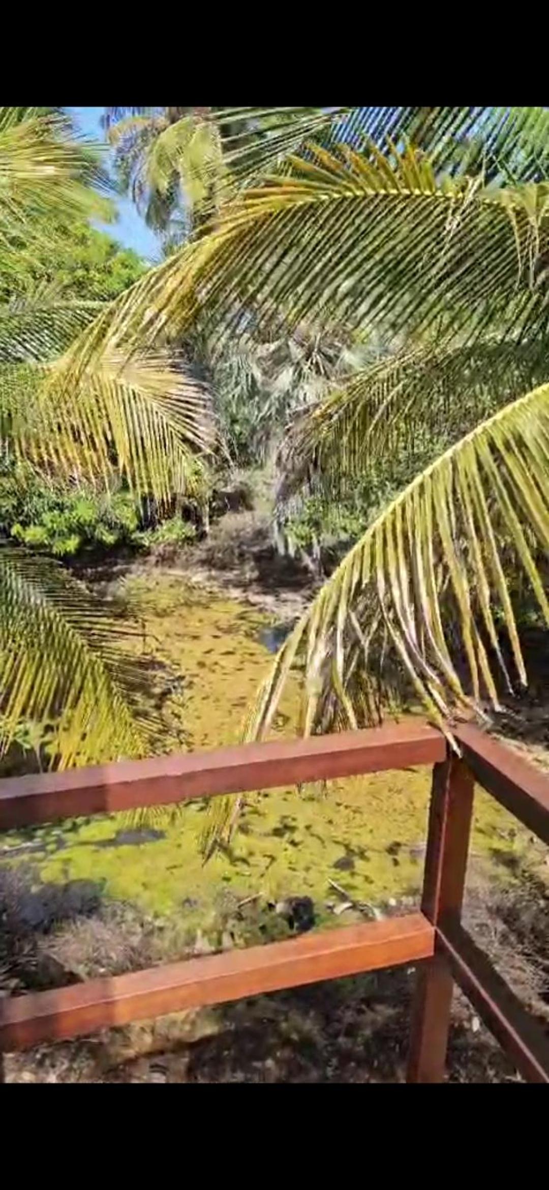 Vila Tapioca Atins