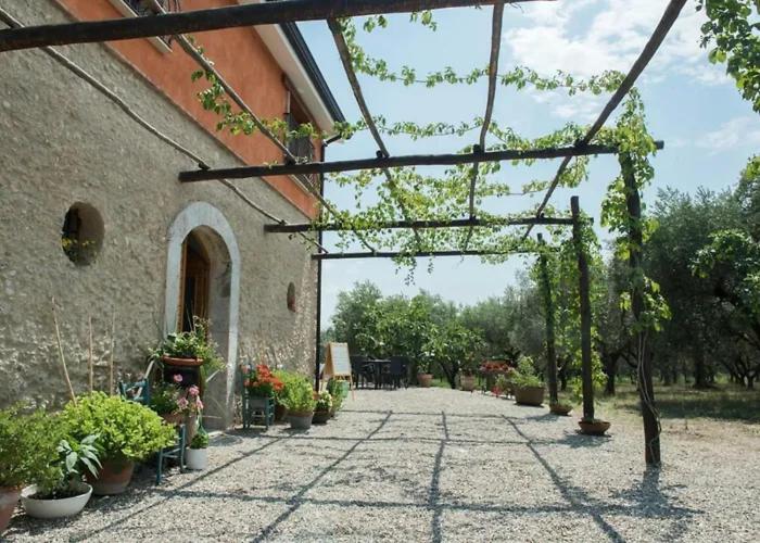 Antico Palmento