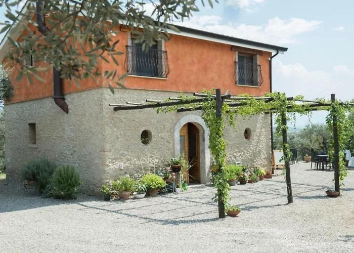 Antico Palmento