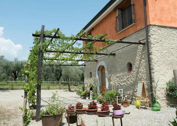 Antico Palmento