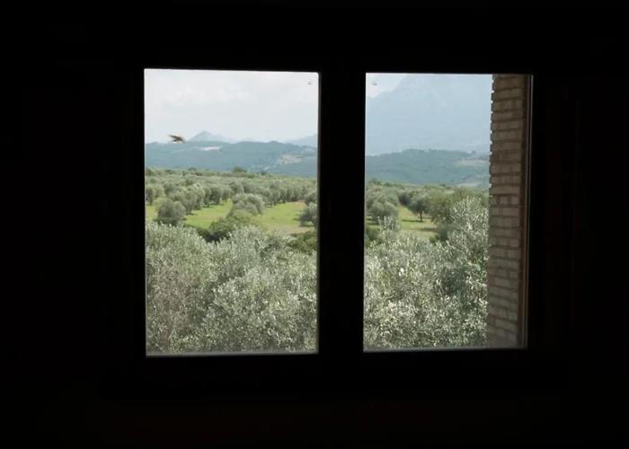 Antico Palmento