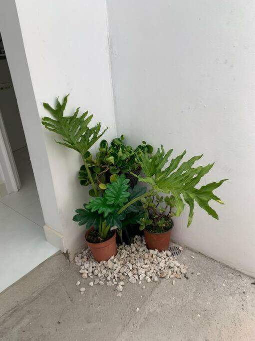 Apartamento VillaRegis 5, Zapote, San Jose