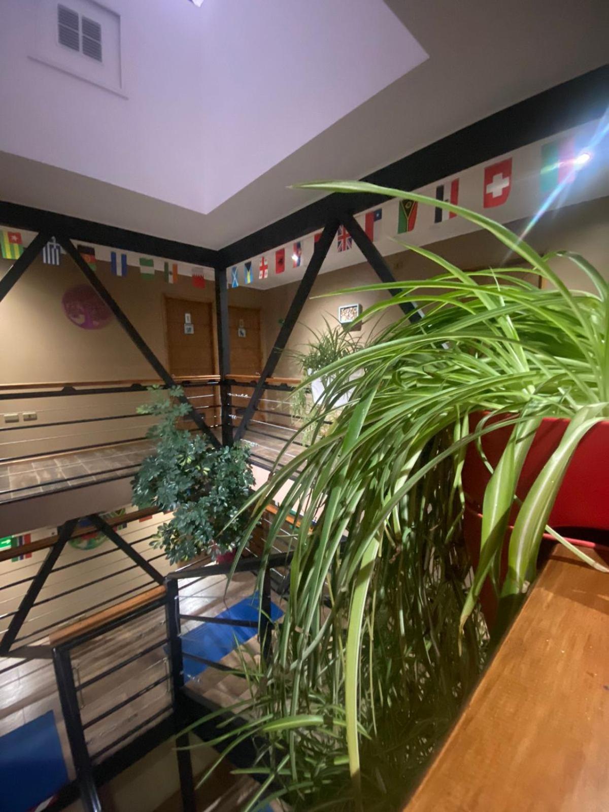 Hostal Ayiwün