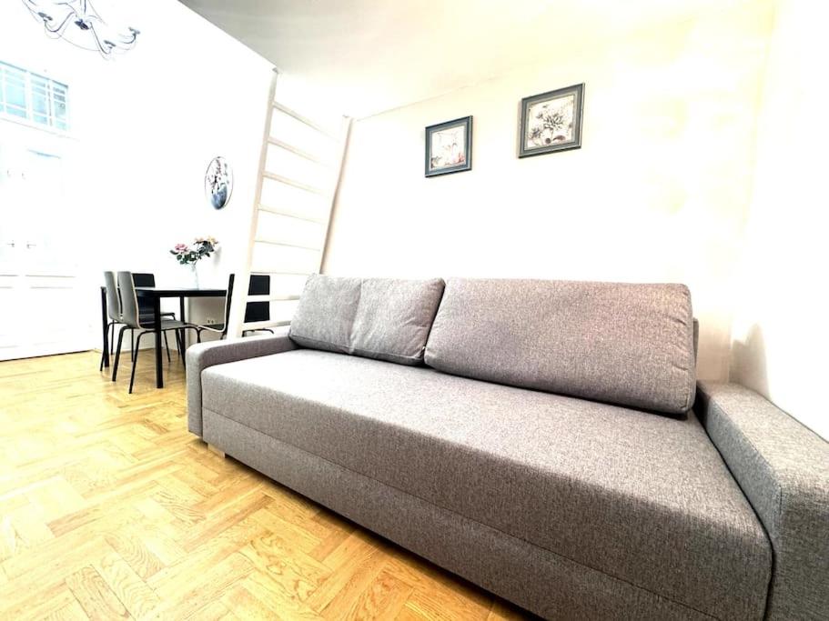 F2 Ultra Central Danube Loft view 5