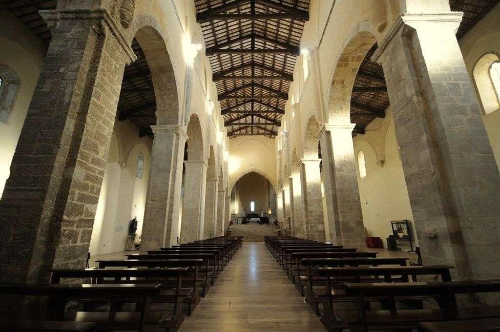 Photo 28