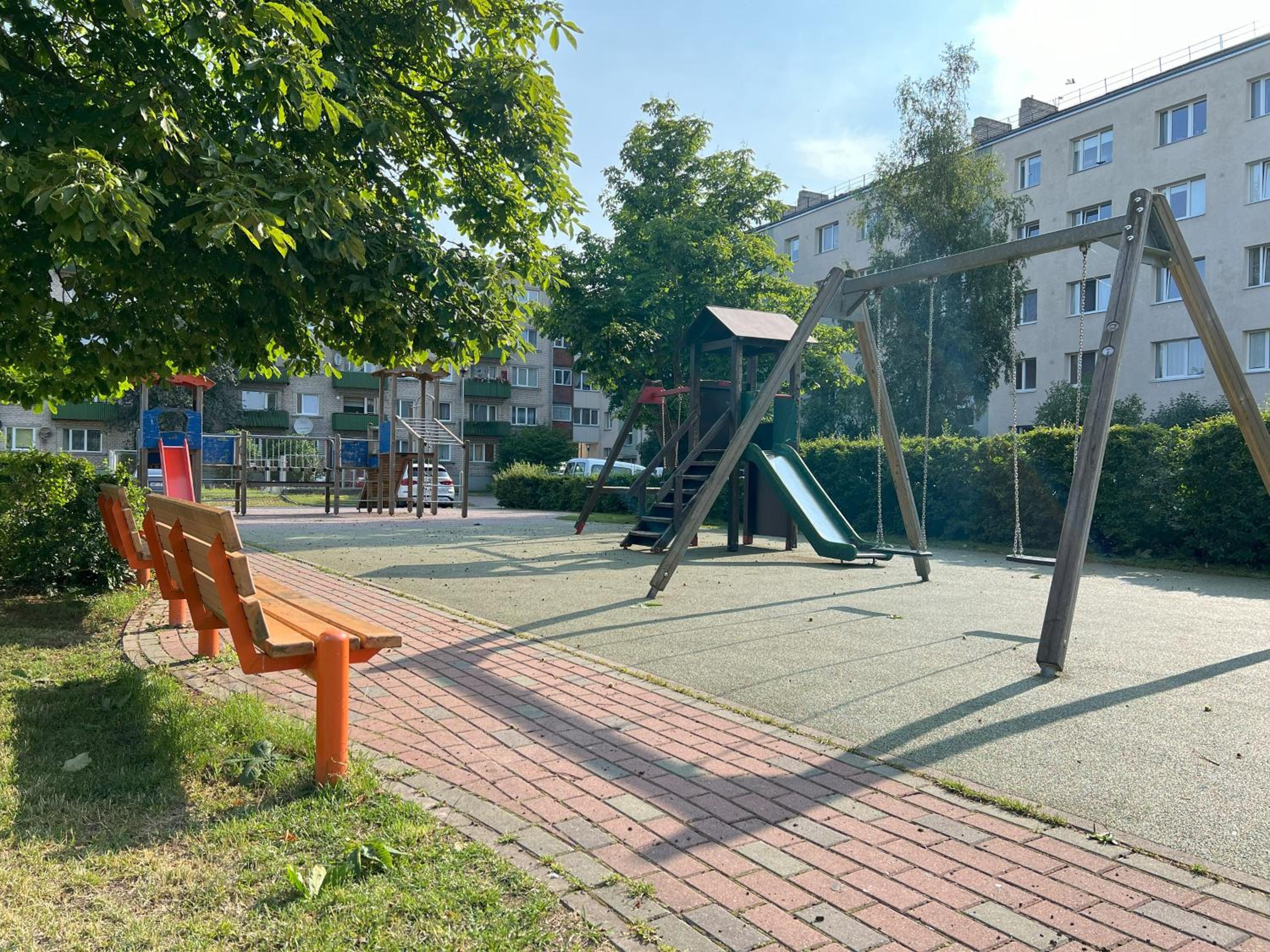 Photo 8
