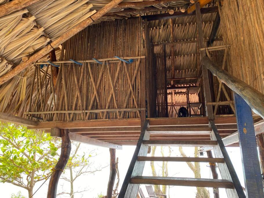 Ecolodge CaboVerde