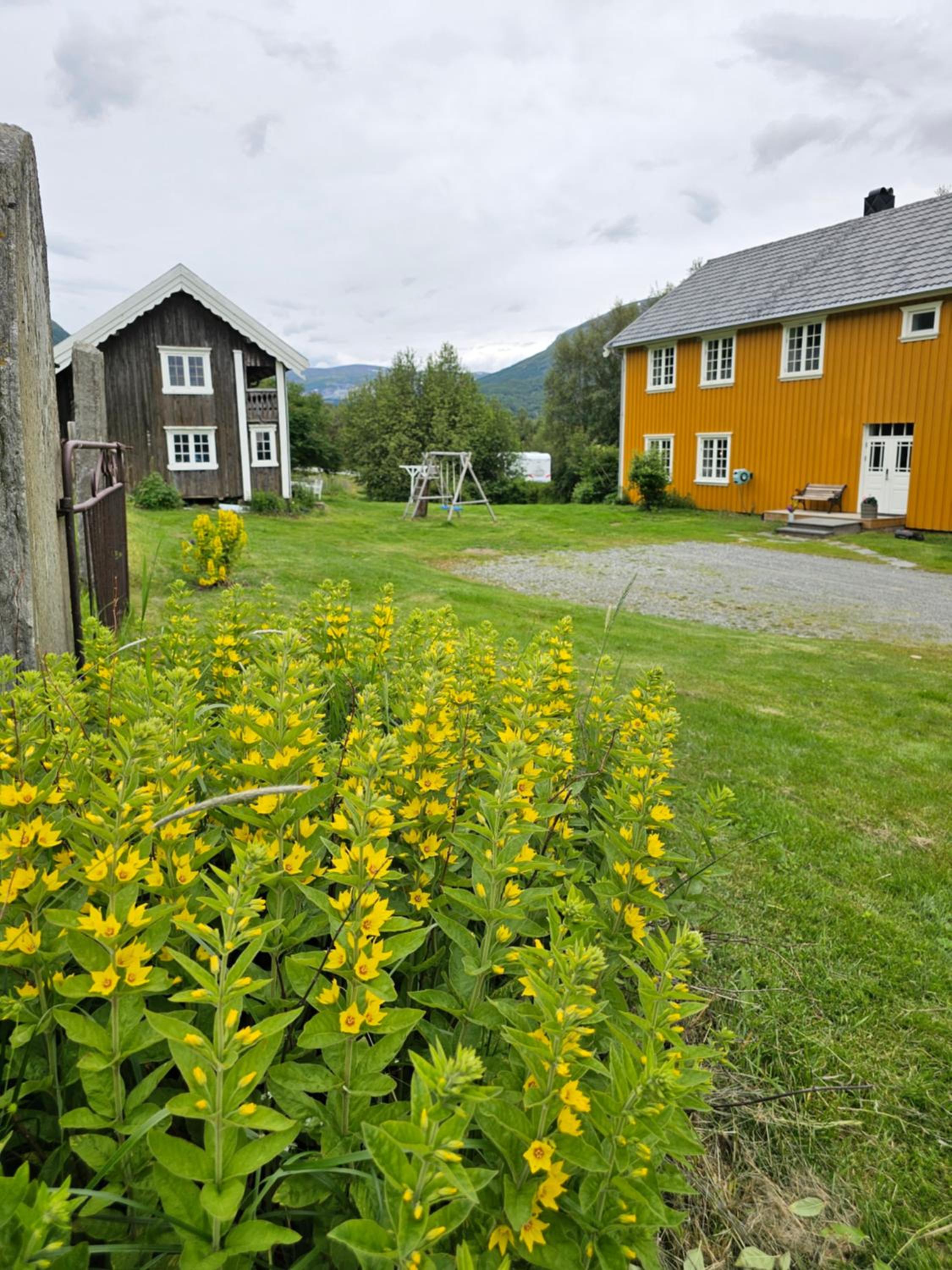 Photo 57