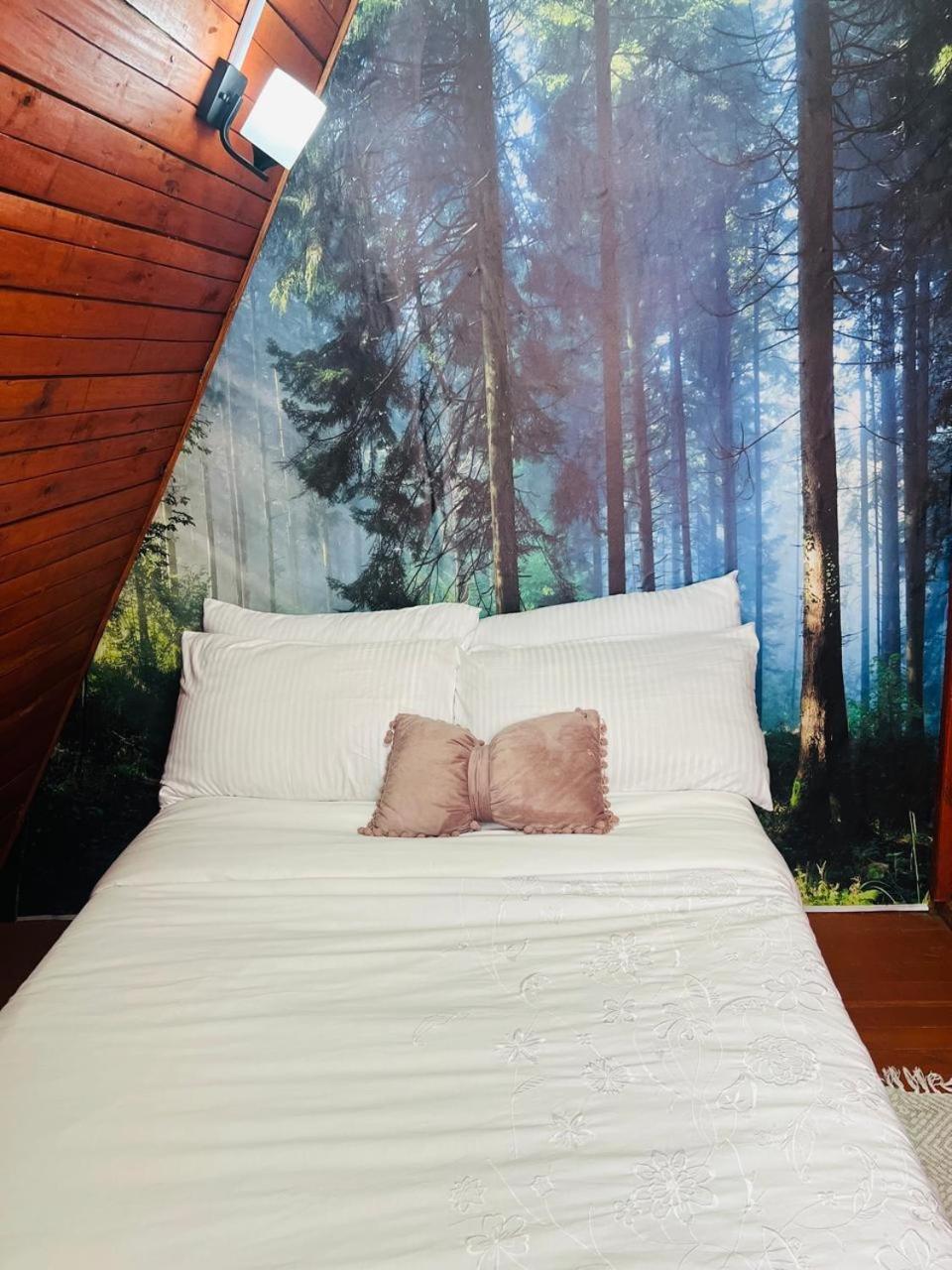 Aquawood Cabins