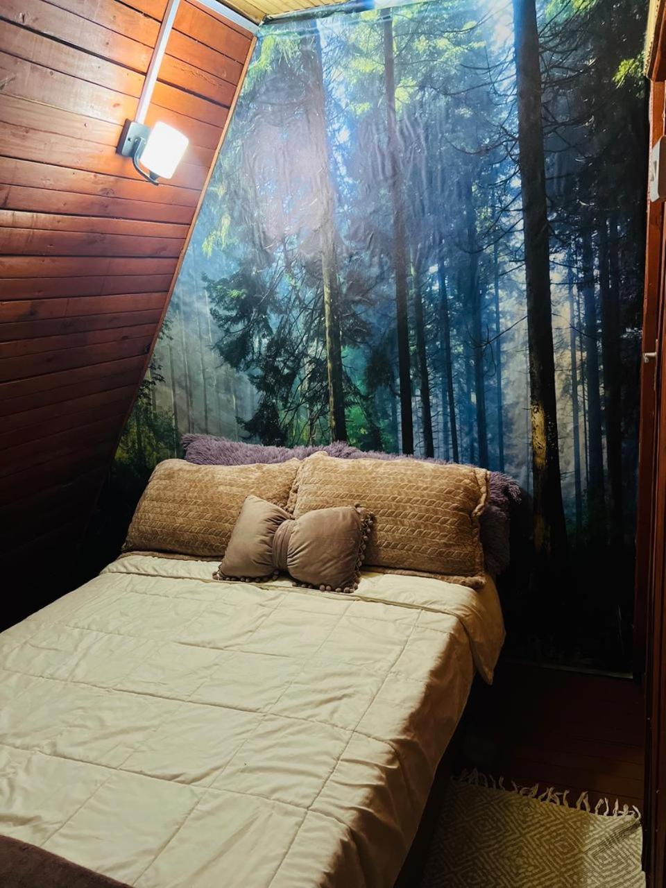 Aquawood Cabins