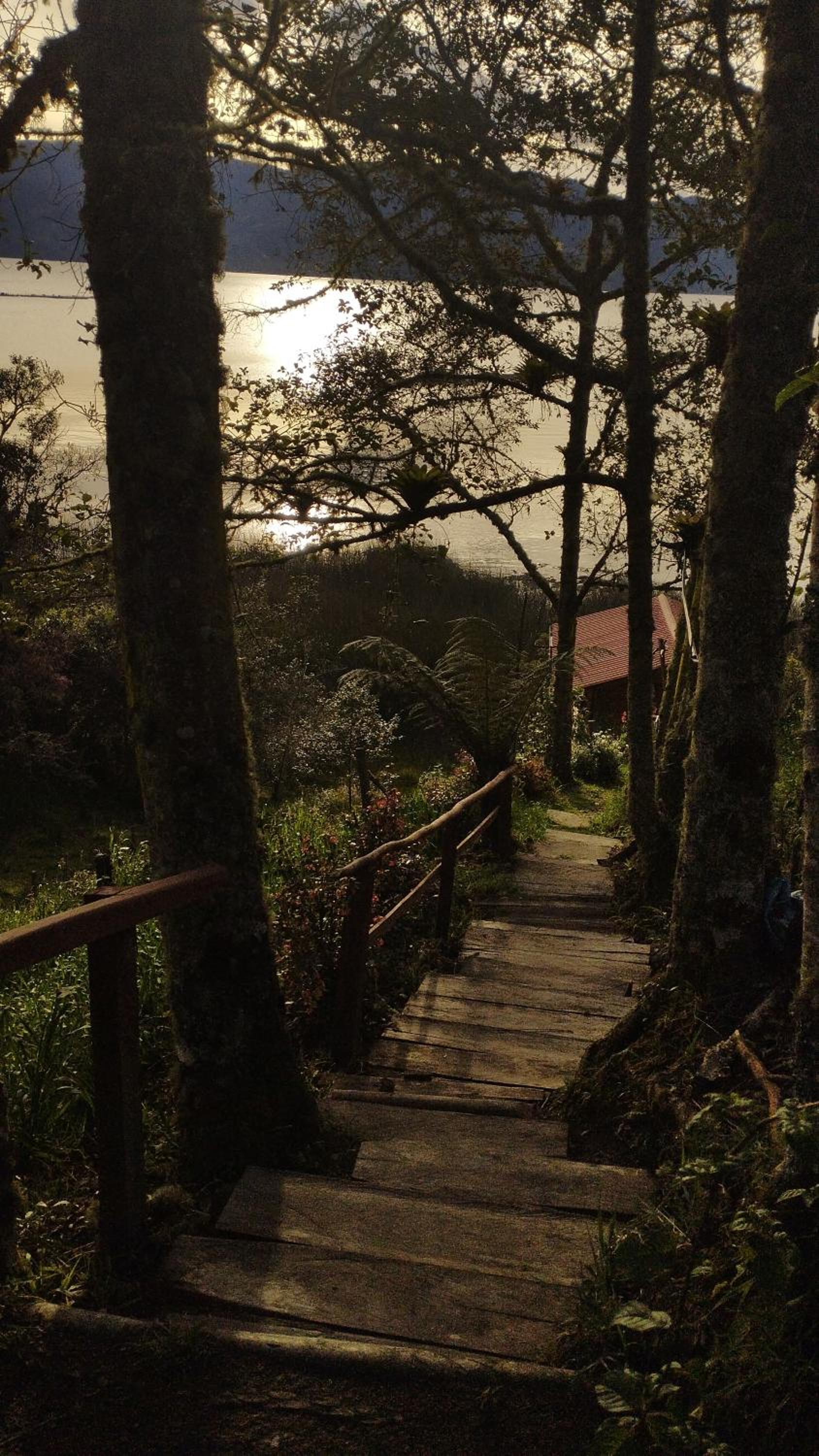 Cabaña Bella Vista