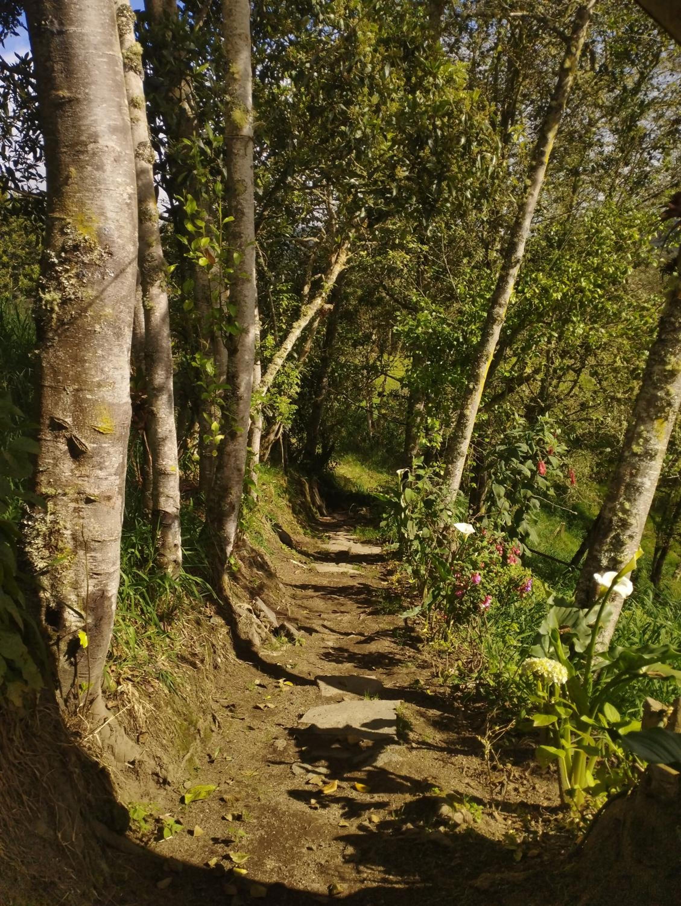 Cabaña Bella Vista