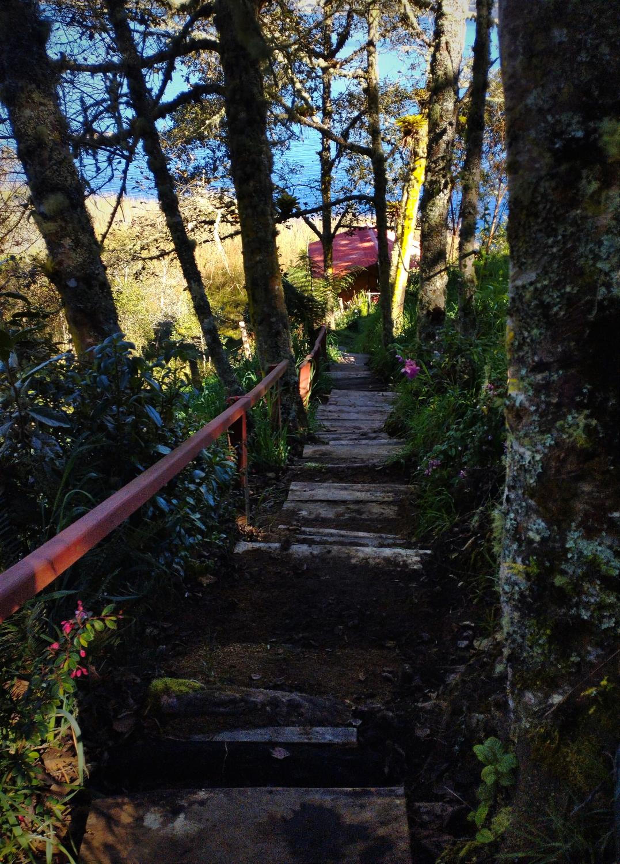 Cabaña Bella Vista