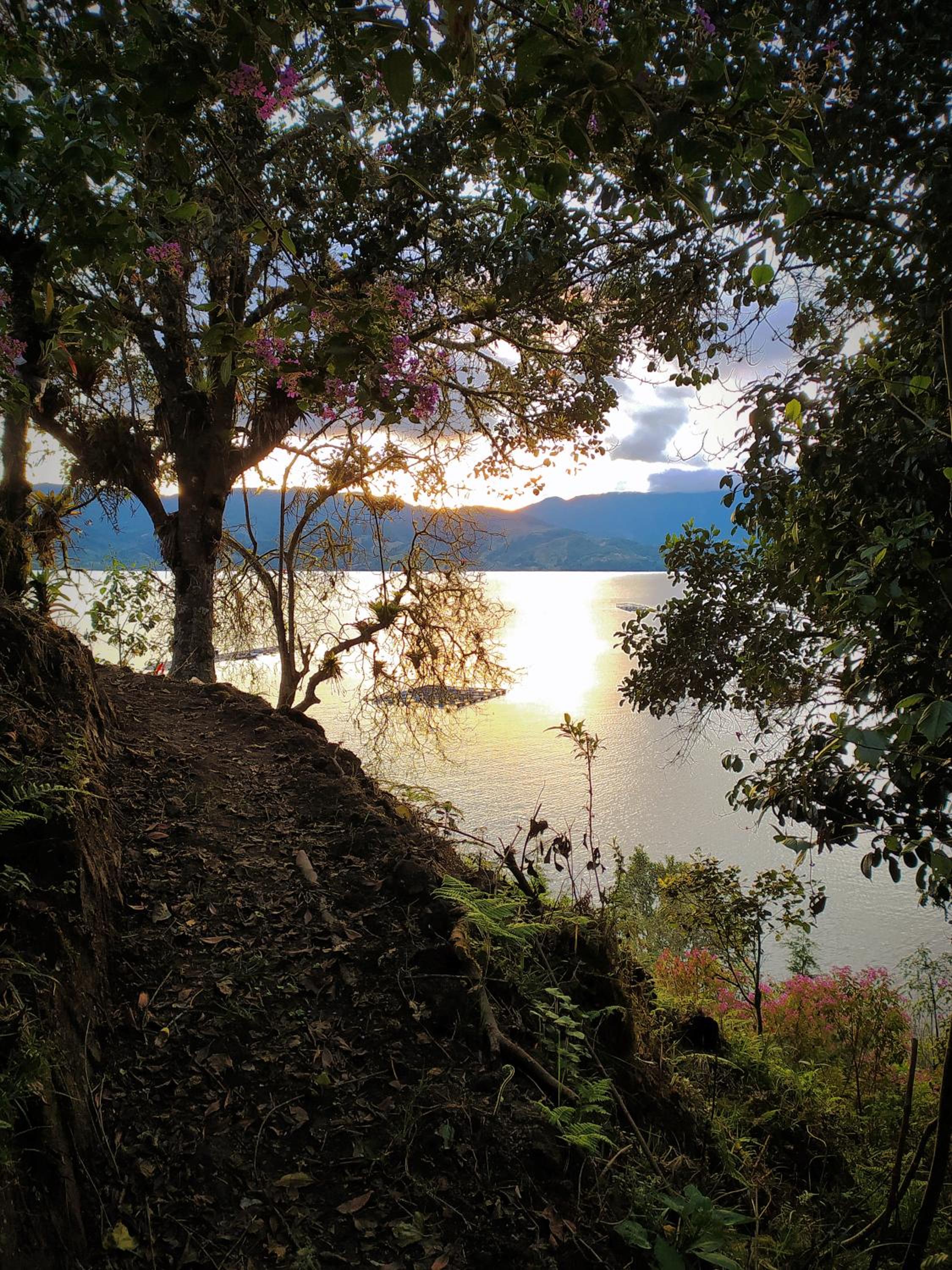 Cabaña Bella Vista