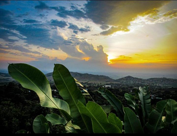 Balcón del Valle