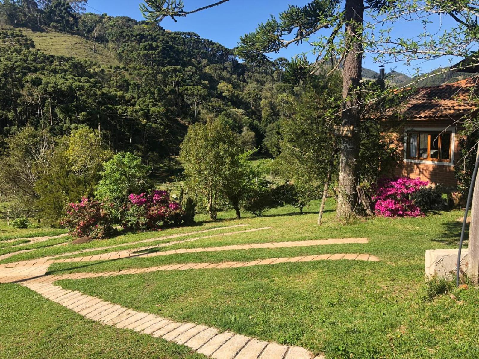 Sitio Rosa de Minas