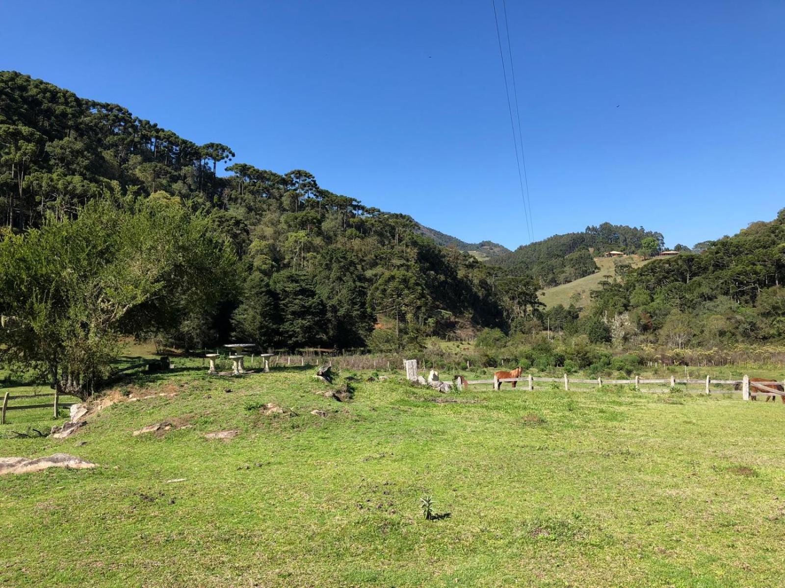 Sitio Rosa de Minas