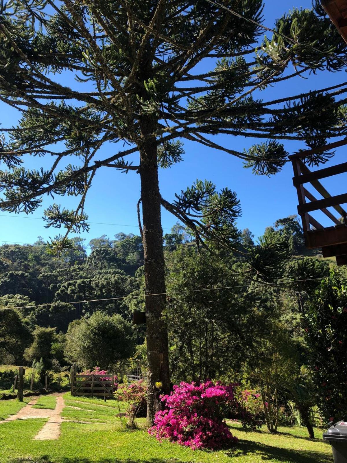 Sitio Rosa de Minas